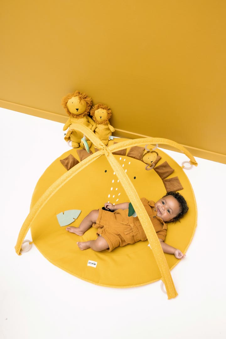 Peluche pequeño - Mr. Lion